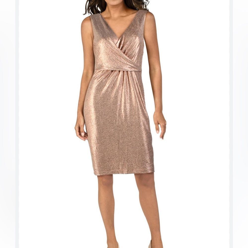NWT DONNA RICCO NY Womens Pink Gathered Zippered Liquid-mesh Sleeveless Dress